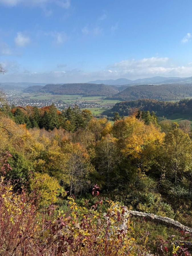 Burgruine Alt-Tierstein