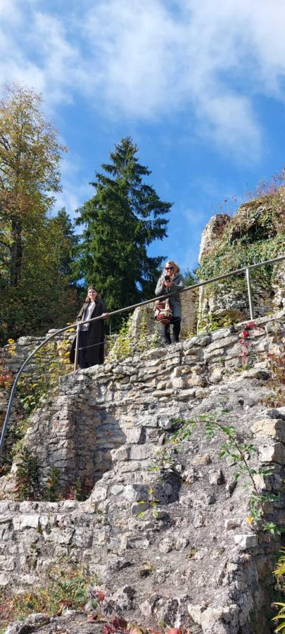 Burgruine Alt-Tierstein