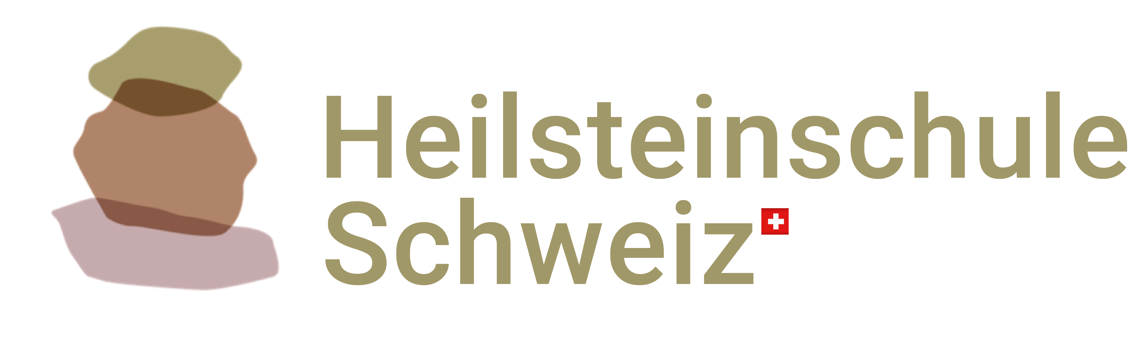 Logo Heilsteinschule Schweiz